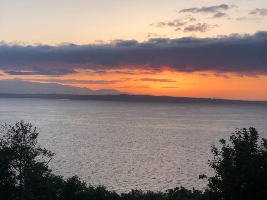 1-Bedroom Seaview Guesthouse On Seattle Luxury Estate With Views Of Olympic Mountains Exterior foto