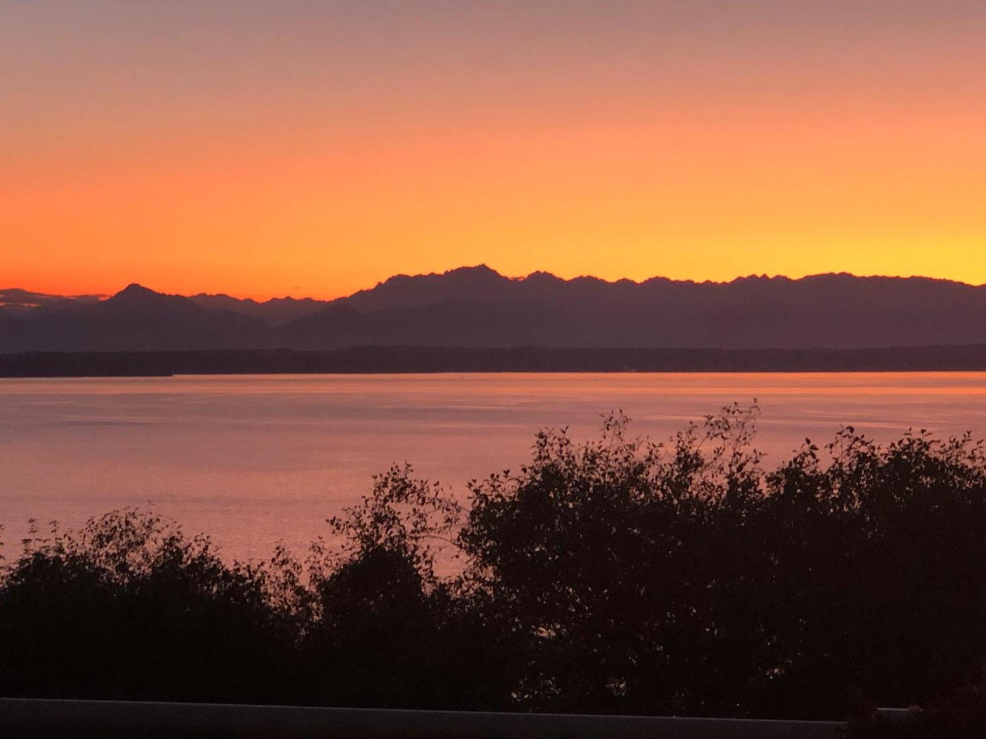 1-Bedroom Seaview Guesthouse On Seattle Luxury Estate With Views Of Olympic Mountains Exterior foto